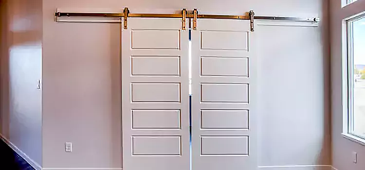 Glass Barn Door with Installation Hardware Kit Rock Hill